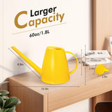 Watering Can for Indoor Outdoor Plants, Modern Small Watering Cans with Removable Nozzle, Long Spout Watering Can