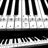 Piano Keyboard Stickers Static-Electricity Piano Stickers Perfect for Kids Learning Piano, Transparent and Removable