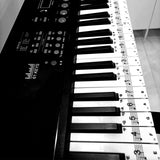 Piano Keyboard Stickers Static-Electricity Piano Stickers Perfect for Kids Learning Piano, Transparent and Removable