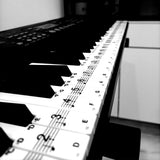 Piano Keyboard Stickers Static-Electricity Piano Stickers Perfect for Kids Learning Piano, Transparent and Removable