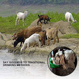 Automatic Waterer, Professional Automatic Water Bowl for Sheep, Goats, Piglets, Small Horses Farm Livestock Supplies