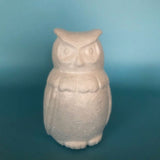 Owl Shape Blank Foam Balls for Art Decoration DIY Craft Foam Balls for School DIY Projects Party,15cm,2-Pack In Australia - Darrahopens