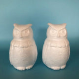 Owl Shape Blank Foam Balls for Art Decoration DIY Craft Foam Balls for School DIY Projects Party,15cm,2-Pack
