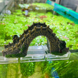 Tank Decoration Aquarium Ornament Poly Resin Bridge,Wonderful for The Underwater Environment, Aquariums, Fish Tank, Gardens