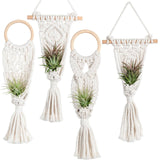 4 Pack Air Plants Holders Air Fern Macrame Plant Hanger Indoor Hanging Planter Basket for Tillandsias Display Air Plant Stand In Australia - Darrahopens