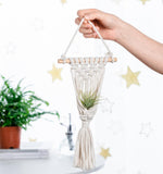 4 Pack Air Plants Holders Air Fern Macrame Plant Hanger Indoor Hanging Planter Basket for Tillandsias Display Air Plant Stand In Australia - Darrahopens