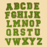 Patchs for Clothing, 26pcs English Letter  with Gold Glitters Border, Alphabet Sewing Appliques （green） In Australia - Darrahopens