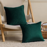 Velvet Emerald Green Throw Pillow Covers Pack of 2 Soft Decorative Square Cushion Covers for Couch Sofa Bed Livingroom Car,40x40Cm
