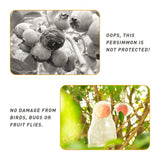 100pc  Fruit Protection Bags, Reusable Netting Bags  Mosquito Bug Insect Bird Nylon Net Barrier Bag with Drawstring In Australia - Darrahopens