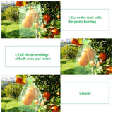 10 Pcs Fruit Protection Bags, Fruit Netting Bags with Drawstring, Garden Fruit Cover Mesh Bag to Protect Plants In Australia - Darrahopens