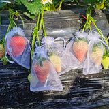 100 Pieces Fruit Netting Bags -  Fruit Protection Bags with Drawstring, Garden Plant Net Barrier Bag for Tomatoes, Grapes, Mangoes In Australia - Darrahopens