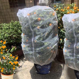 3pc Fruit Tree Netting Protection Bag with Drawstring,Garden Netting Insect Pest Barrier,Bird Netting Plant Covers