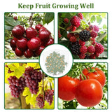 3pc Fruit Tree Netting Protection Bag with Drawstring,Garden Netting Insect Pest Barrier,Bird Netting Plant Covers In Australia - Darrahopens