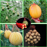 100 pc  Thicken Melon Nets Watermelon Nets Melon Cradle Hanging Watermelon Nets Bags Melon Hammocks Fruit Mesh Bag with Drawstring In Australia - Darrahopens