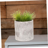 12pcs Artificial Plants Succulent Planters Bonsai Cactus House Plants Pot Plants Indoor Fake Plant Indoor Plants Table Centerpieces