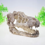 Skeleton Hole Resin Artificial Dinosaur Skull Skeleton Ornament - Fish Tank Small Skull Aquarium Decorations cave Landscape(2pcs)