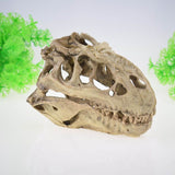 Skeleton Hole Resin Artificial Dinosaur Skull Skeleton Ornament - Fish Tank Small Skull Aquarium Decorations cave Landscape(2pcs)