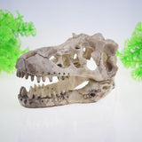 Skeleton Hole Resin Artificial Dinosaur Skull Skeleton Ornament - Fish Tank Small Skull Aquarium Decorations cave Landscape(2pcs)