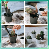 10 Pieces Round Mesh for Plant Pot Gardening Pad Plant Pot Hole Mesh Pad Bonsai Mesh Flower Pot Drainage Mesh Drainage Hole Screen