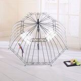 Clear Bubble Umbrella for Girls and Women,Clear Kids Umbrella Dome Shape, Auto Open Transparent Rain Girls In Australia - Darrahopens