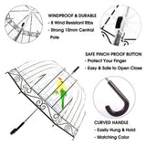 Clear Bubble Umbrella for Girls and Women,Clear Kids Umbrella Dome Shape, Auto Open Transparent Rain Girls