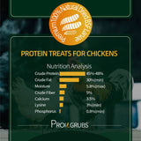 PROILGRUBS 10 LBS(4.55KG) All Natural Dried Black Soldier Fly Larvae Treats- Non-GMO-Dried Grubs for Chickens - High Protein Meal Worms for Chickens, Hens, Birds