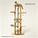 Acrylic Space Capsule Cat Tree In Australia - Darrahopens