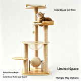 Acrylic Space Capsule Cat Tree In Australia - Darrahopens