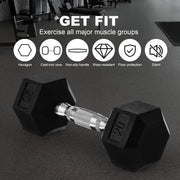 20lb to 45lb Rubber Coated Hex Dumbbells (sold in pairs) — Pair of 40LB / ~18kg In Australia - Darrahopens