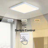 Smart LED Ceiling Lamp: App & Voice Control