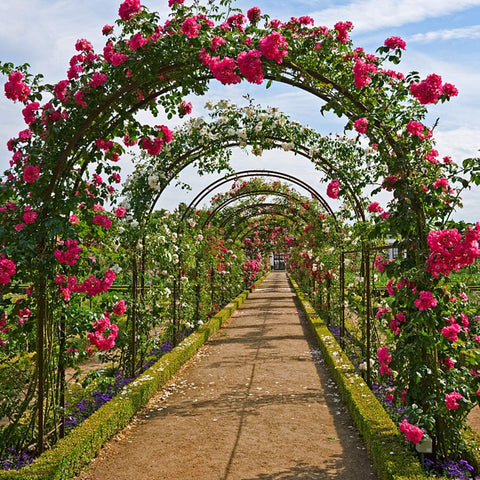Metal Garden Arch Trellis Iron Plant Support Outdoor Climbing