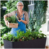 Dark Brown Easy Grow Planter Bed Brown with Water Gauge and Drainage System In Australia - Darrahopens