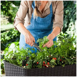 Dark Brown Easy Grow Planter Bed Brown with Water Gauge and Drainage System In Australia - Darrahopens