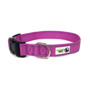 Nylon w/Reflective Stitching Dog Collar Small Purple
