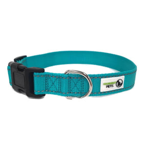 Nylon w/Reflective Stitching Dog Collar Small Turquoise