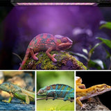 30cm Adjustable Reptile 5.0UVA UVB Lamps LED Light for Reptile Tanks Pet Lighting System