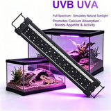 40cm Adjustable Reptile 10.0UVA UVB Lamps LED Light for Reptile Tanks Pet Lighting System