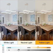 BAMDECOR A022 Modern Designer Infinity LED Chandelier Island Ceiling Pendant Light (120/150cm-Silver)