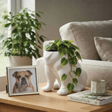 Urban Attitude Maggie Bulldog Planter - Matte White