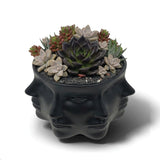 Urban Attitude Face Planter - Matte Black In Australia - Darrahopens