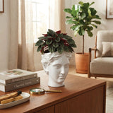 Urban Attitude Venus Head Planter - Matte White In Australia - Darrahopens