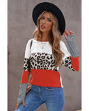 Azura Exchange Leopard Colorblock Long Sleeve Top - 2XL