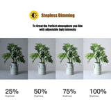 18 Two-Colour Dimmable Ring Fill Light With Tripod 55W 100-240V