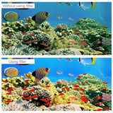 Insta360 One R Diving Lens Filter For 4K / 1 Inch Edition