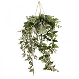 120cm Wandering Dew in Hanging Planter (with Rope) Faux Jew Artificial Plant In Australia - Darrahopens
