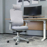 Lifespan Fitness DM8 Ergonomic Office Desk Chair (White/Grey)