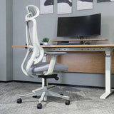 Lifespan Fitness DM8 Ergonomic Office Desk Chair (White/Grey)