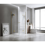 Double Door Corner Shower with Black Channels and SS Hinges, Round Handle - Prem
