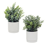 Bulk 12 Artificial Greenery Plant Pot 30cmh 2 Asst In Australia - Darrahopens