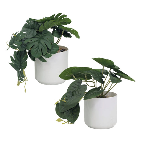 Bulk 16 Artificial Greenery Plant Pot 19cmh 2 Asst In Australia - Darrahopens